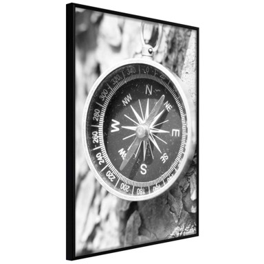Poster Where to Go? 20x30