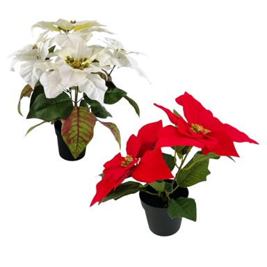 Umjetna biljka Božićna zvijezda u tegli, 24 cm, sort