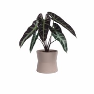 ARTEVASI Keramička tegla za cvijeće ø 14 cm Diana 