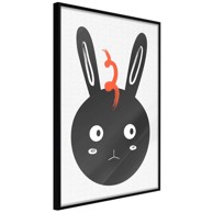 Poster Surprised Bunny 40x60