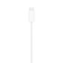 APPLE Magnetski kabel za brzo punjenje za Watch, USB-C, 1 m