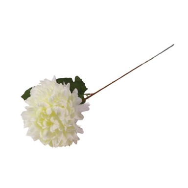 Rezano cvijeće krizantema 48 cm, bijela