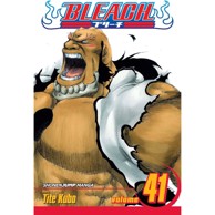 Bleach vol. 41