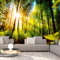 Foto tapeta Forest Hideout 250x175