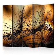 Sobna pregrada u 5 dijelova Dandelions in the Rain II 225x172