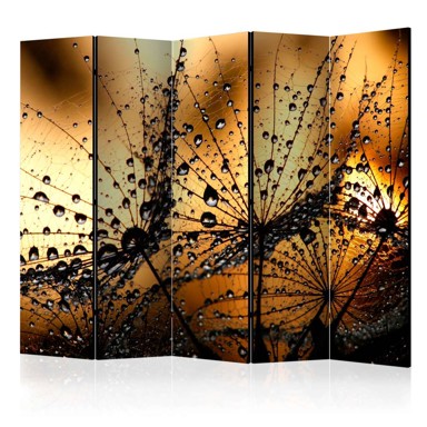 Sobna pregrada u 5 dijelova Dandelions in the Rain II 225x172