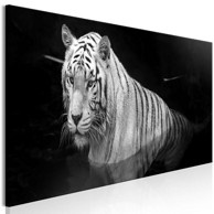 Slika Shining Tiger Black and White Narrow 150x50