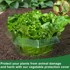 NIKCORP Zaštitni prstenovi protiv puževa, ekološka barijera za vrt i povrće, zeleni, 20 kom
