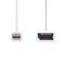 NEDIS Mini DisplayPort kabel DisplayPort 1.2 Mini DisplayPort muški DisplayPort ženski 21.6 Gbps niklani 0.20 m okrugli PVC bijeli kutija