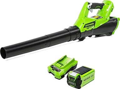 GREENWORKS Set Puhača lišća/usisavač, GD24X2BVK4V