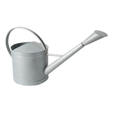 ESSCHERT DESIGN Metalna zaljevača 9 l