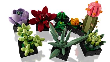 LEGO Icons Sukulenti 10309
