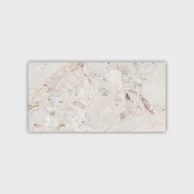 Pločica, 60 x 60 cm, sjajna