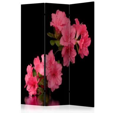 Sobna pregrada u 3 dijela Azalea in Black 135x172
