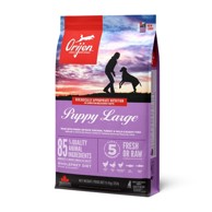 ORIJEN Suha hrana za pse Puppy Large Breed 11,4 kg