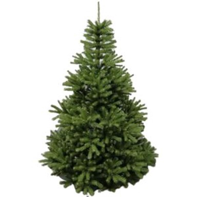 Umjetno božićno drvce Natura Exclusive 180 cm