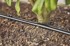 GARDENA Micro-Drip-System set 25m