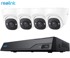 REOLINK Komplet NVS8-5MD4, NVR + 4× P324 IP kamere