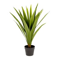 KAVE HOME Umjetna biljka Yucca, visina 80 cm  