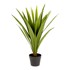 KAVE HOME Umjetna biljka Yucca, visina 80 cm  