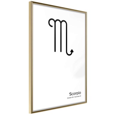 Poster Zodiac: Scorpio II 20x30