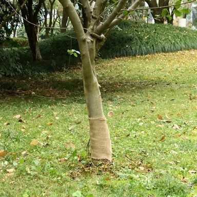 Rola od jute, 0,25 x 25 m, 100% juta, 200 g/m²