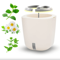 SMART GARDEN Aurelia Pro “Trio Tea” set