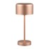 TRIO LED stolna lampa s mogućnošću zatamnjivanja u bakrenoj boji (visina 30 cm) Jeff 