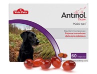 VETZ PETZ Antinol za pse, 60 kapsula
