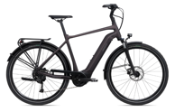 GIANT Električni bicikl DailyTour E+ 3 GTS, 25 km/h, Rosewood