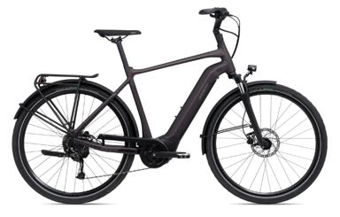 GIANT Električni bicikl DailyTour E+ 3 GTS, 25 km/h, Rosewood