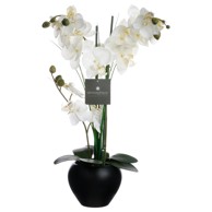ATMOSPHERA Umjetna orhideja h53 crna tegla, keramika, plastika