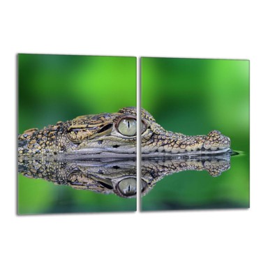 TMK Staklena zaštita za štednjak, 2x40x52 cm, krokodil