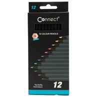 CONNECT Boja drvena 12 boja