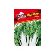 ROYAL SEEDS Sjeme povrća 66 blitva srebnolistna