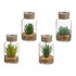 CASA SELECCION Umjetne biljke u setu 4 kom Cactus, visina 12 cm  