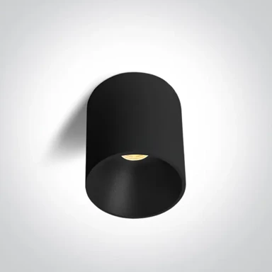 Stropna LED svjetiljka, 14 W, CCT, IP20, 230 V, crna