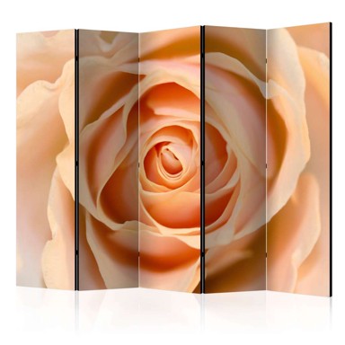 Sobna pregrada u 5 dijelova Peach-colored rose II 225x172