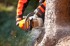 STIHL Motorna pila MS 362