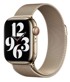 APPLE Remen Gold Milanese Loop 41mm 