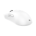 WHITE SHARK Gaming miš WGM-5021 BORS, bežični, 12000 DPI, bijeli