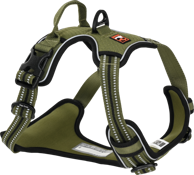 DOGS CREEK Oprsnica za pse Pathfinder S, zelena