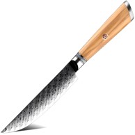 Damaskovski kuhinjski nož Hi-35067 Steak Kp35067