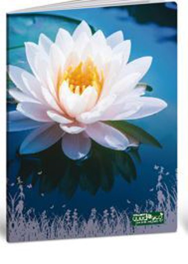 QUADECO Bilježnica A4, kvadratići, 20 listova, meki uvez