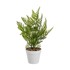 CASA SELECCION Umjetna paprat, visina 45 cm  