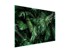 Staklena zaštitna ploča za štednjak Leaf 70 x 52 cm