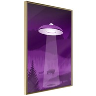 Poster Flying Saucer 30x45