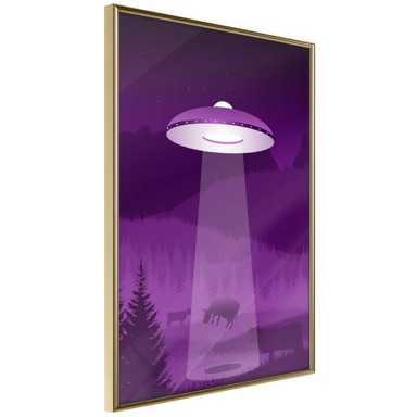 Poster Flying Saucer 30x45