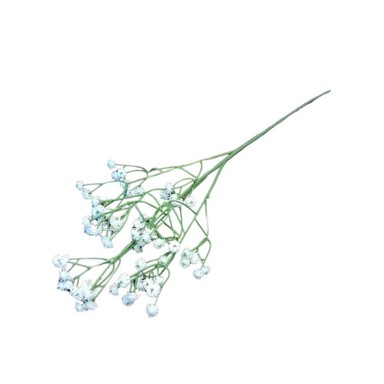 Rezano cvijeće Gipsofila, 62 cm, bijela