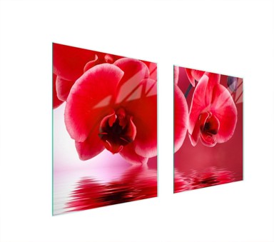 TMK Staklena zaštita za štednjak ili ploču za kuhanje 85x52, orhideja